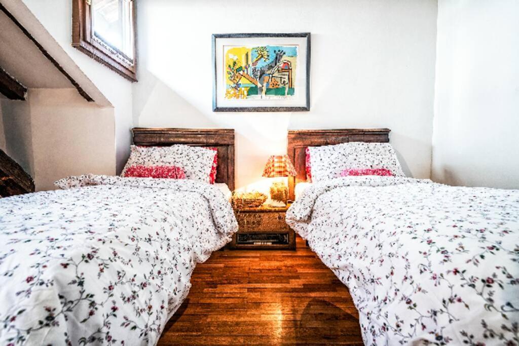 Loft Overlooking The Old Town . Фелтре Екстериор снимка