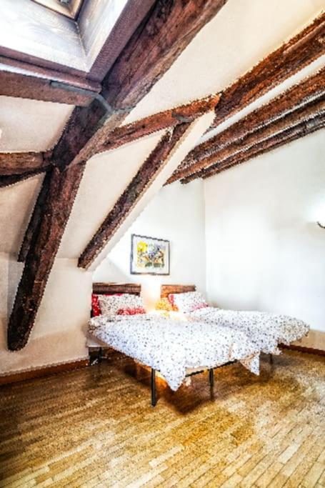 Loft Overlooking The Old Town . Фелтре Екстериор снимка